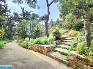 Alsos Pagkratioy-apopse