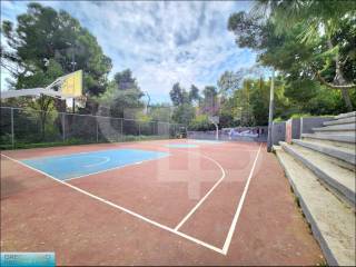 Alsos Pagkratioy-Gepedo Mpasket