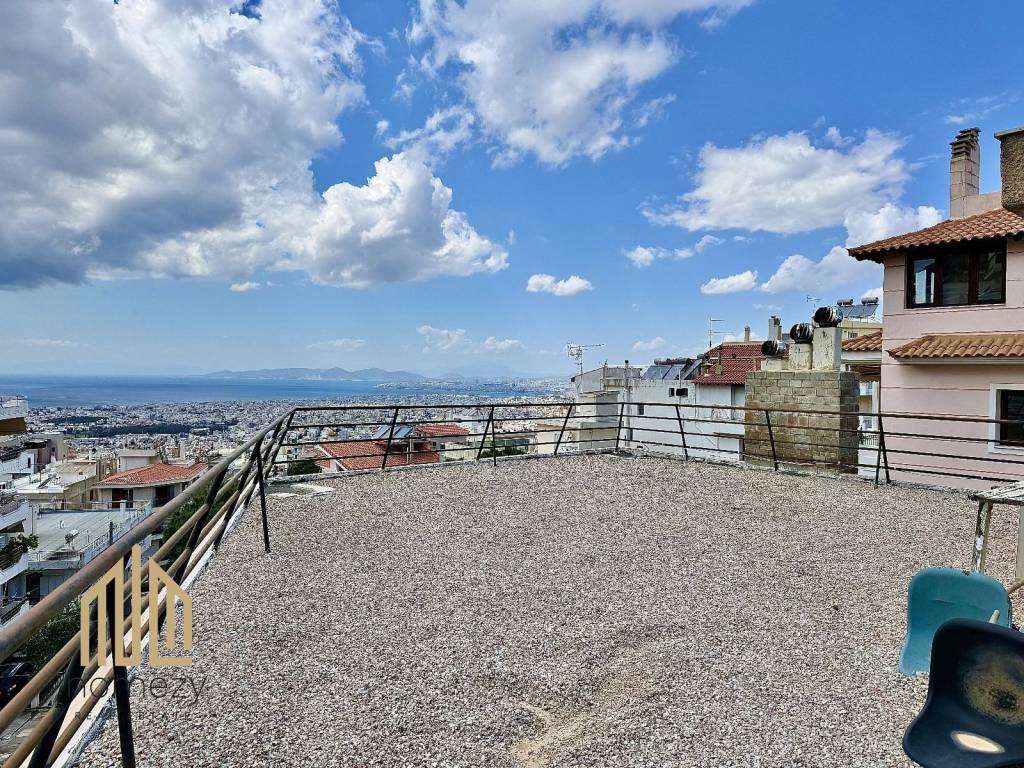 Koinochreste taratsa