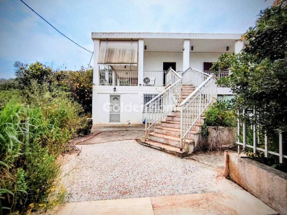 Ανελκυστήρας