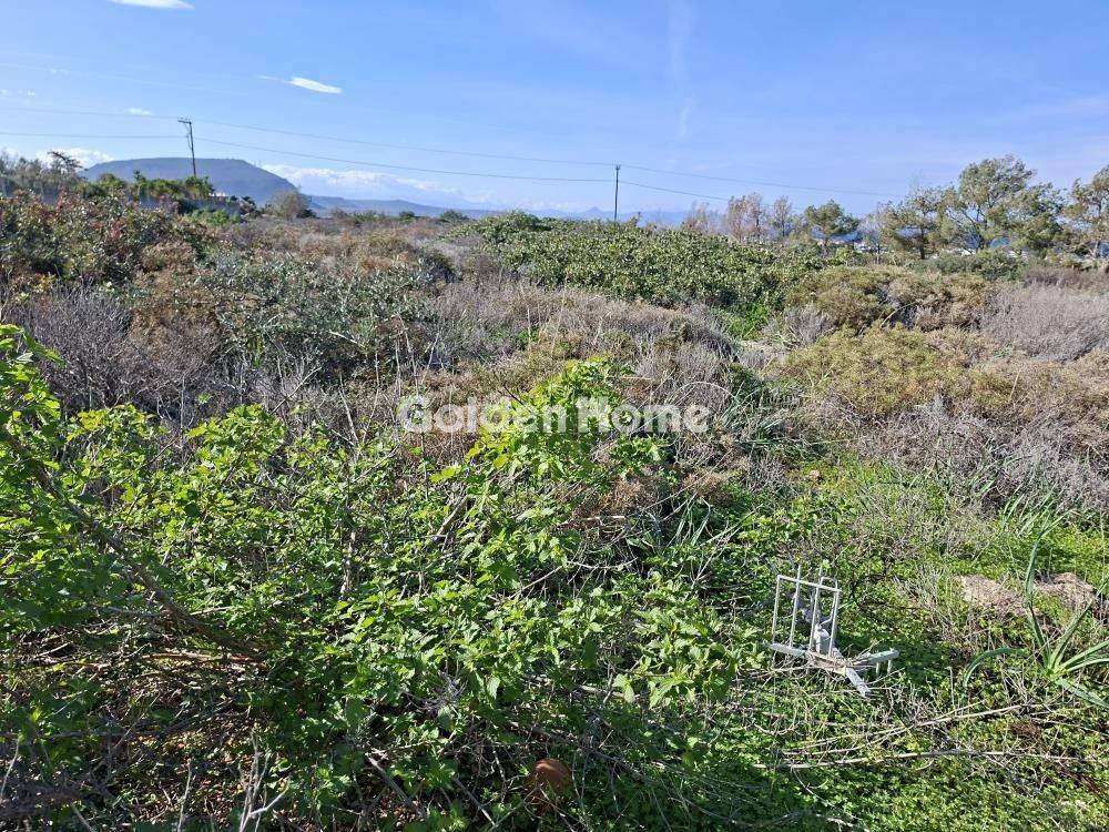 Εξωτερικός Χώρος