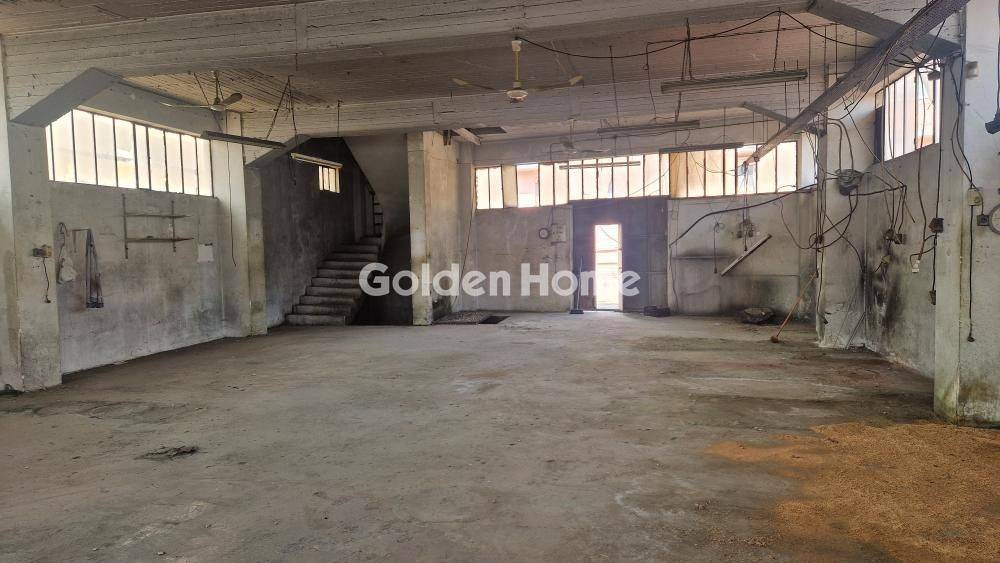 Ανελκυστήρας