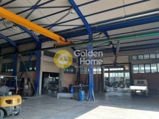 Ανελκυστήρας