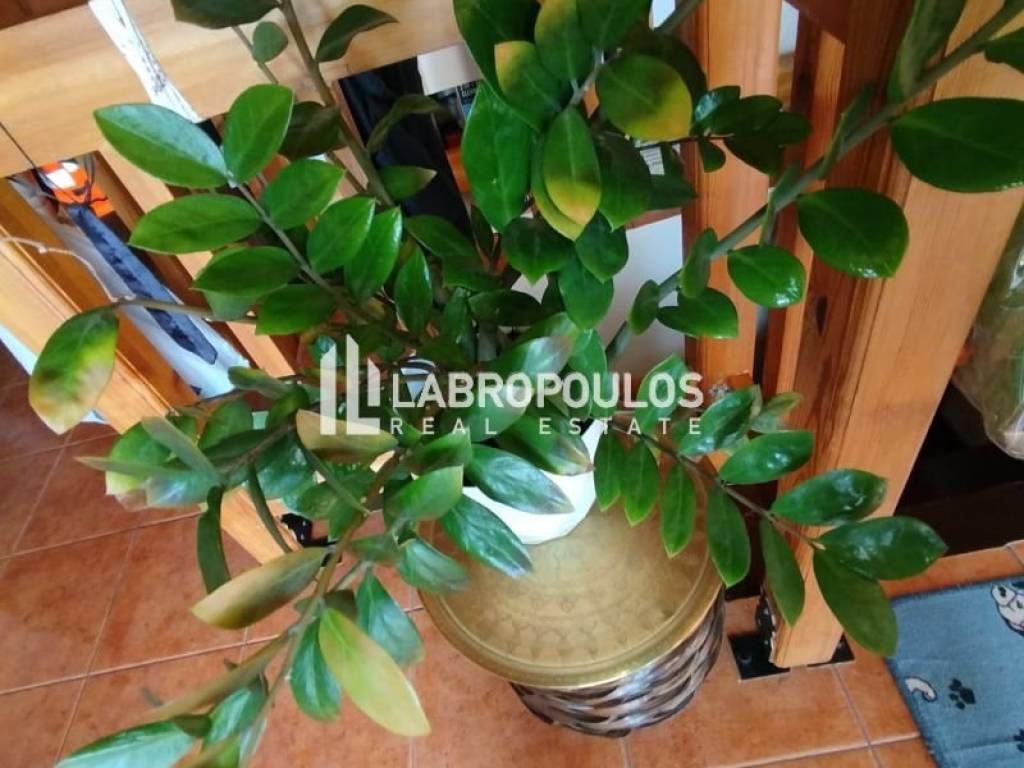 Ύπαρξη ανθρώπου