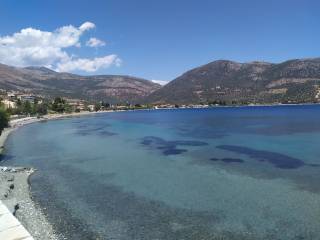 OMORPHES PARALIES TES PERIOCHES