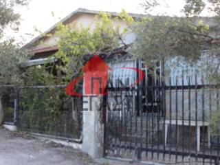 Ύπαρξη ανθρώπου