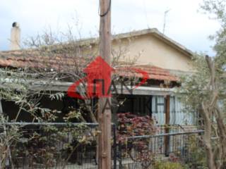 Ύπαρξη ανθρώπου