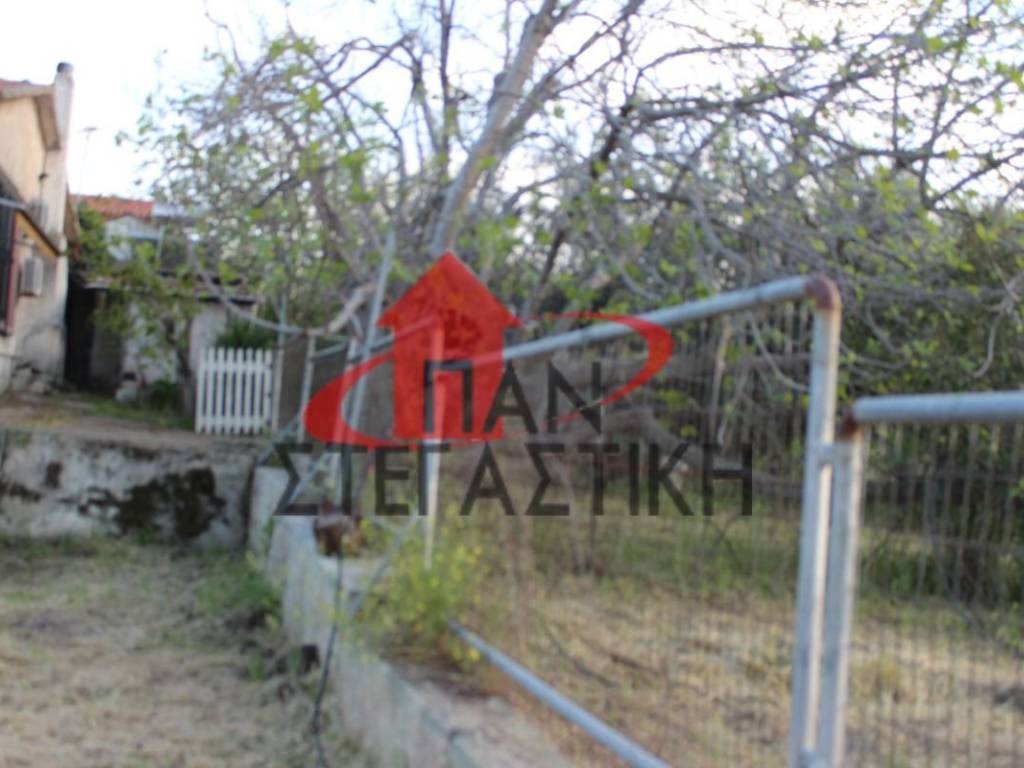 Ύπαρξη ανθρώπου