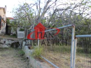 Ύπαρξη ανθρώπου