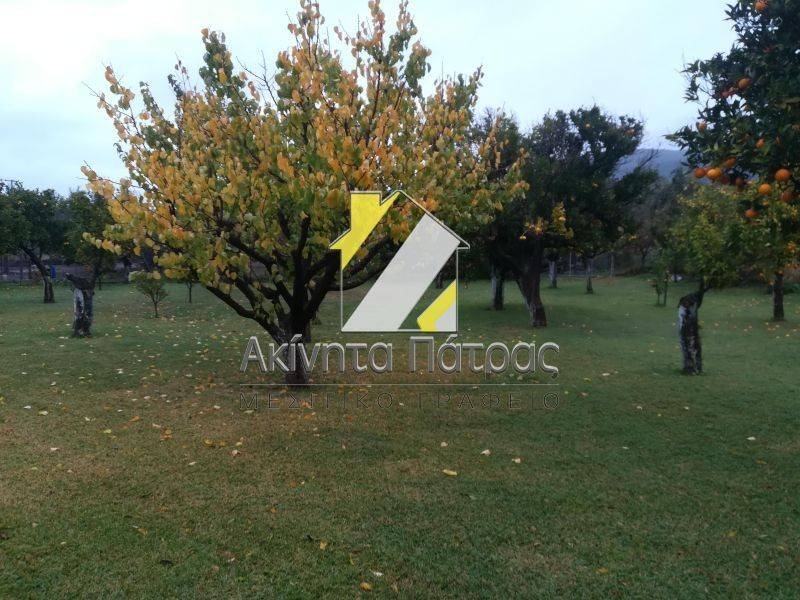 ΑΠΟΨΗ ΧΩΡΟΥ