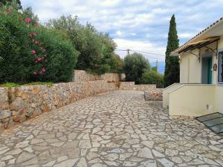 ME OMORPHE PLAKOSTROSE