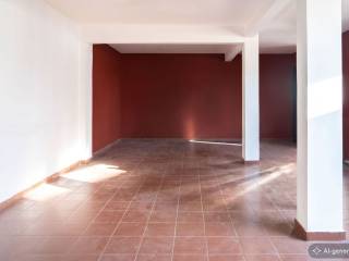 [AI-generated photo]