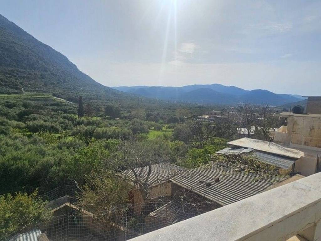 Maisonette - Grekodom 65884|1060855