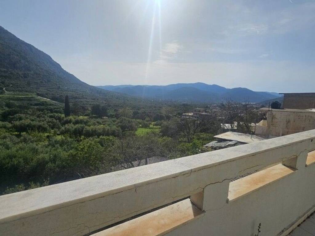 Maisonette - Grekodom 65884|1060856