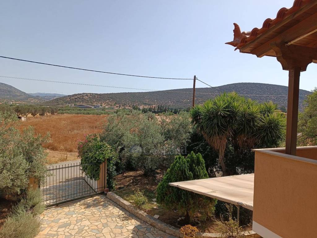 Θέα από μπαλκόνι