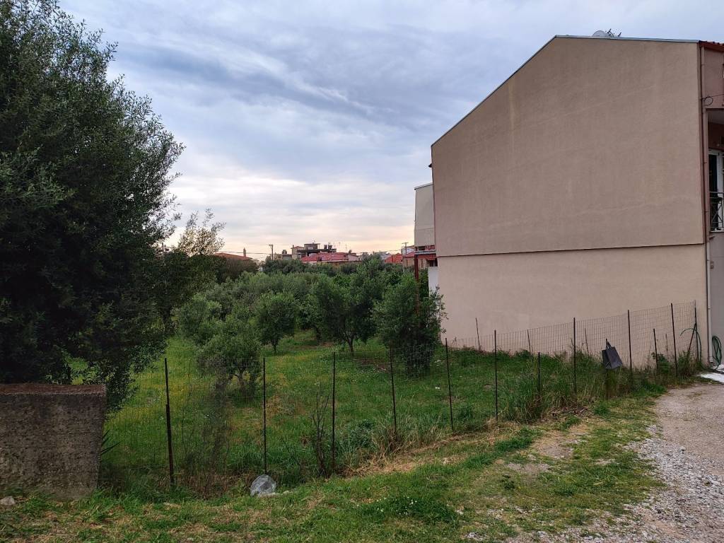 POLY KONTA STEN PARALIA GRIMPOBO