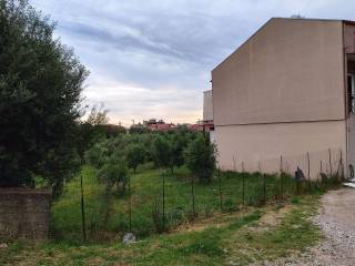 POLY KONTA STEN PARALIA GRIMPOBO