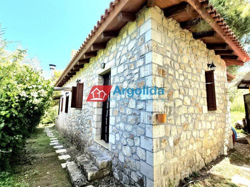 Ύπαρξη ανθρώπου