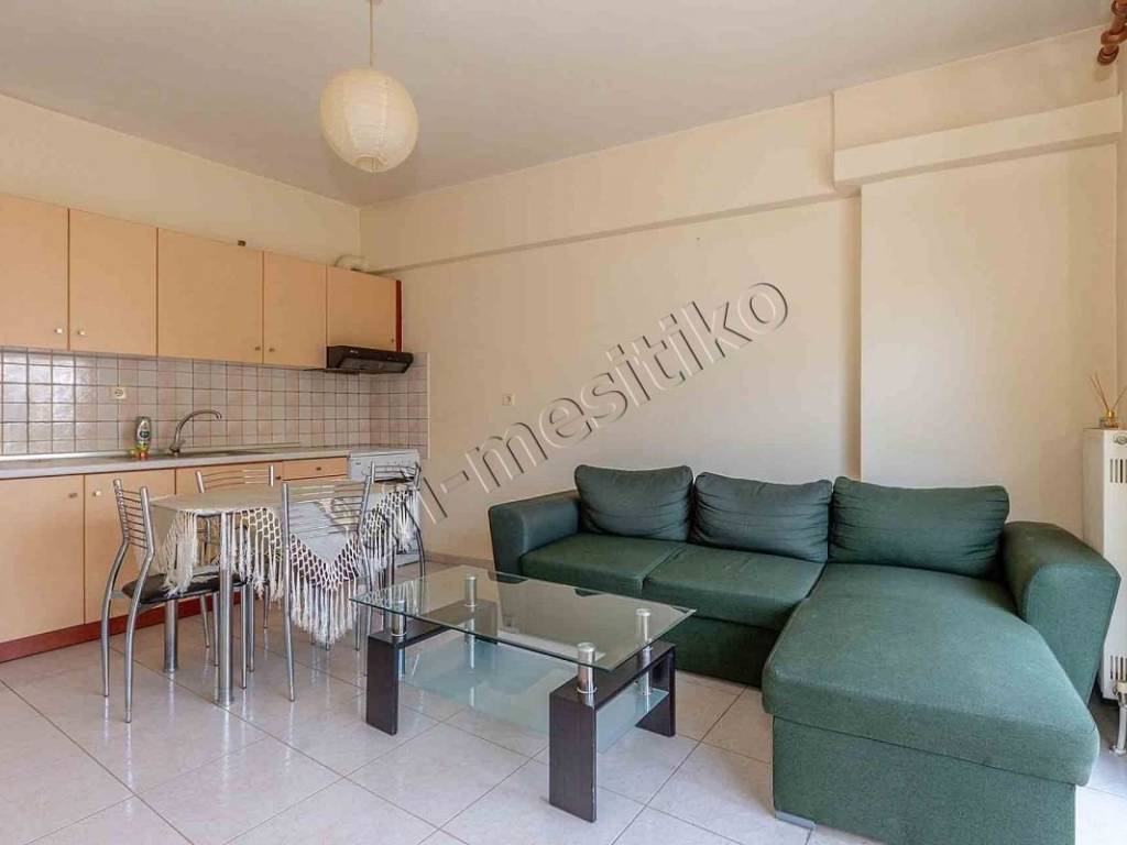 Σαλοκουζίνα