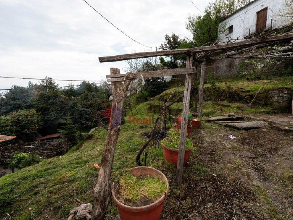 Εξωτερικοι χώροι