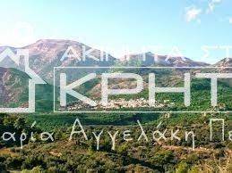 ΦΩΤΟΓΡΑΦΙΑ ΜΑΛΛΩΝ