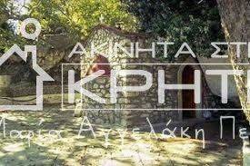 ΦΩΤΟΓΡΑΦΙΑ ΜΑΛΛΩΝ