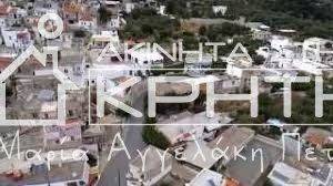 ΦΩΤΟΓΡΑΦΙΑ ΜΑΛΛΩΝ