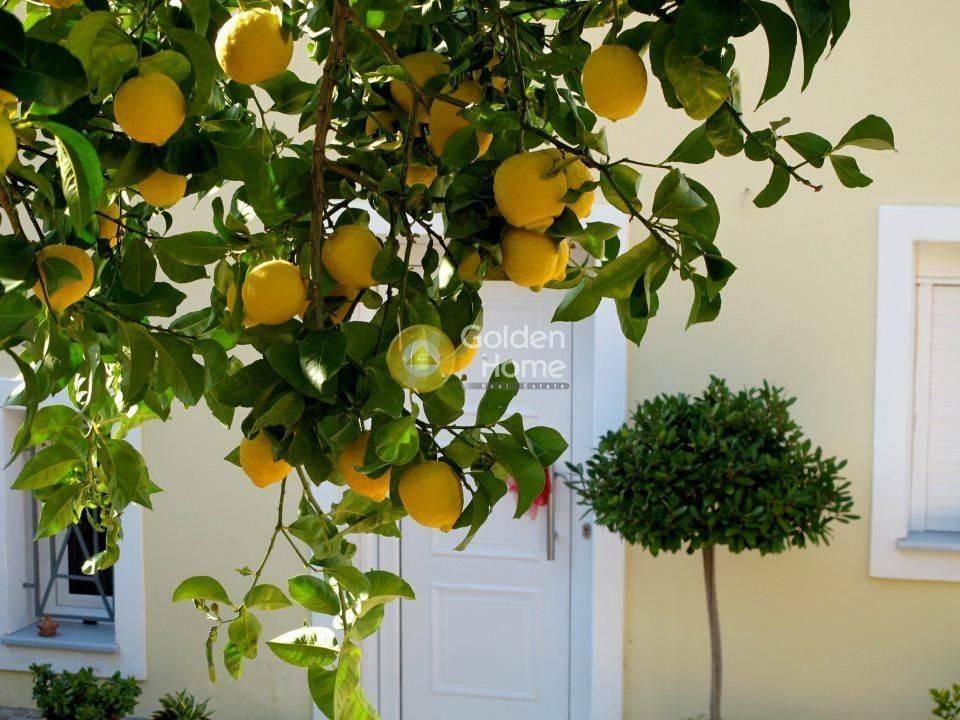 Εξωτερικός Χώρος