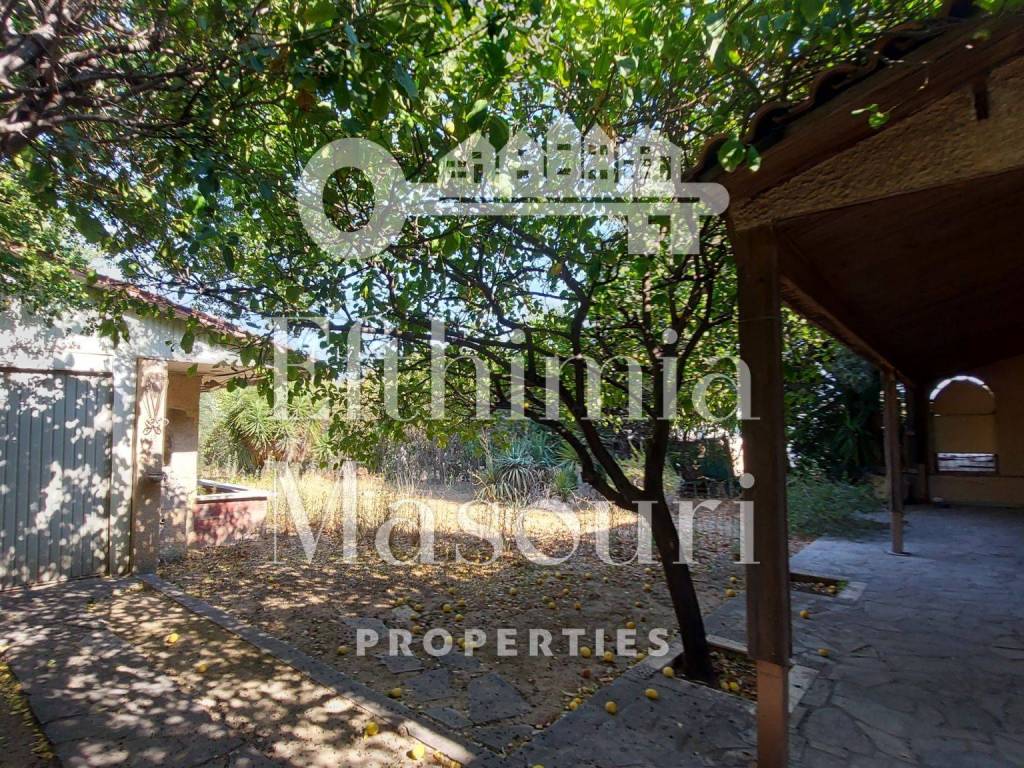 Εξωτερικοι χώροι