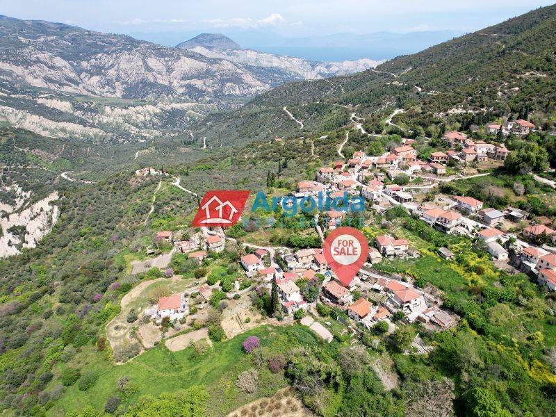 Ύπαρξη ανθρώπου