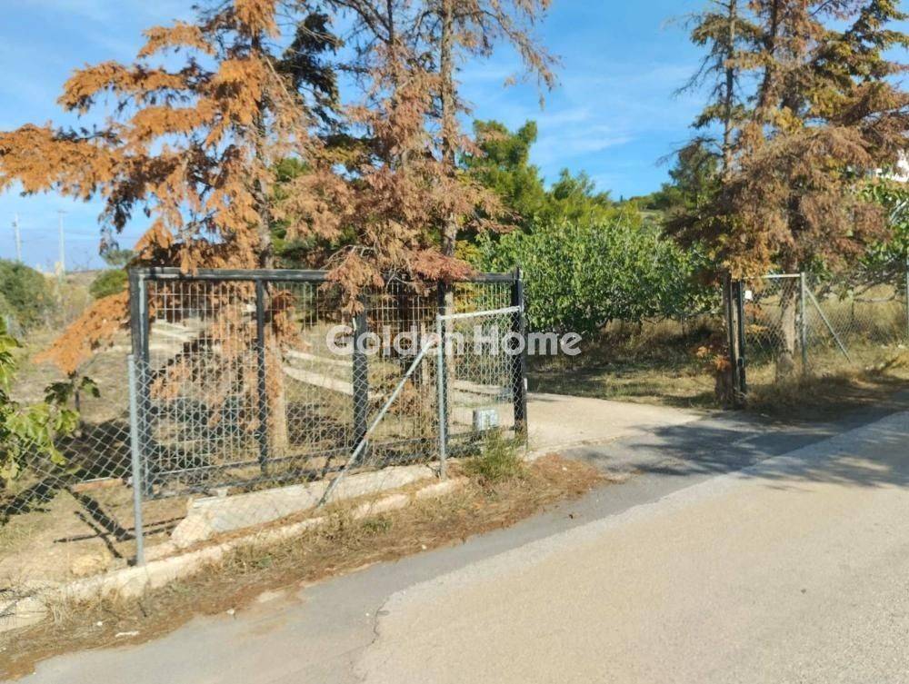 Εξωτερικός Χώρος