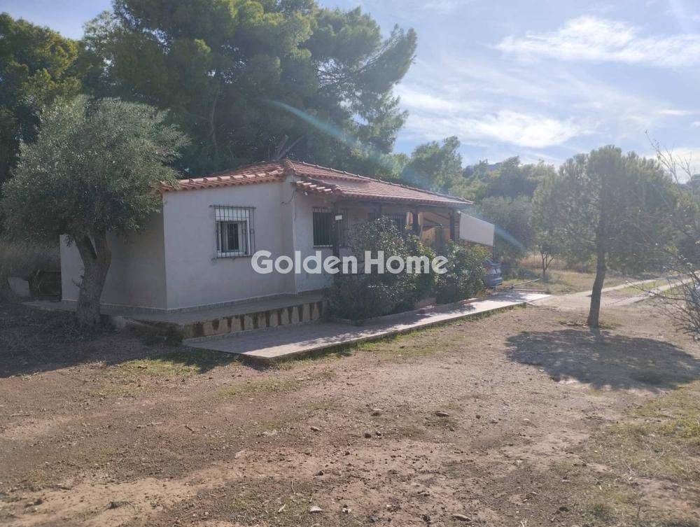 Εξωτερικός Χώρος