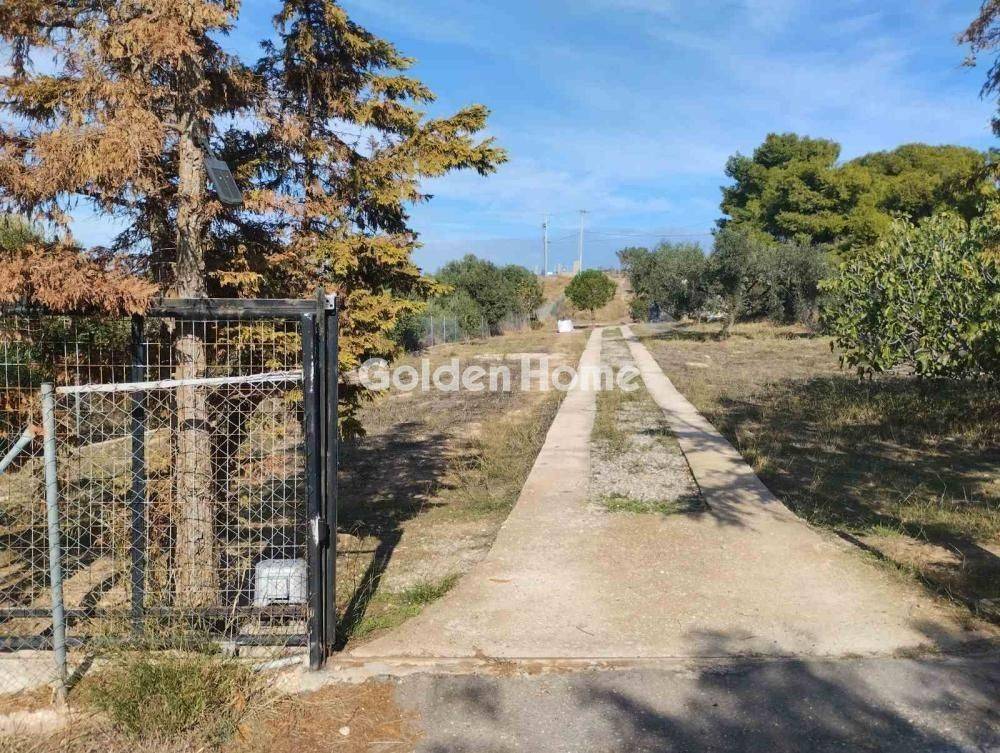 Εξωτερικός Χώρος