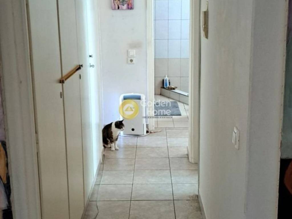 Χολ - Διάδρομος