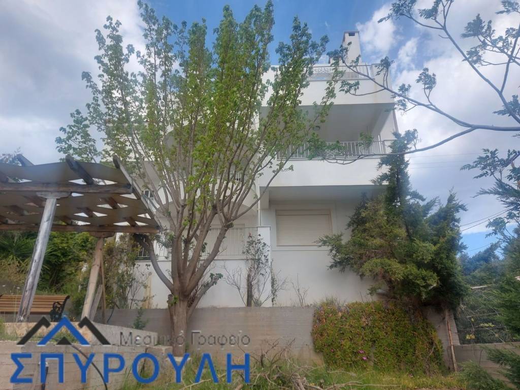 Εξωτερική οψη