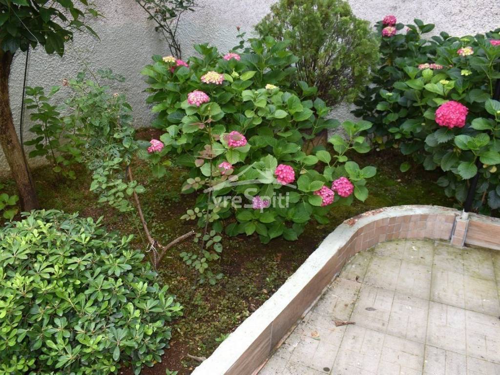 ΕΞΩΤΕΡΙΚΗ ΑΠΟΨΗ