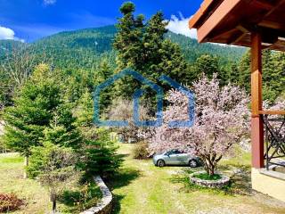 Εξωτερικοι χώροι