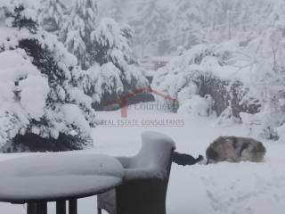 Ύπαρξη ανθρώπου