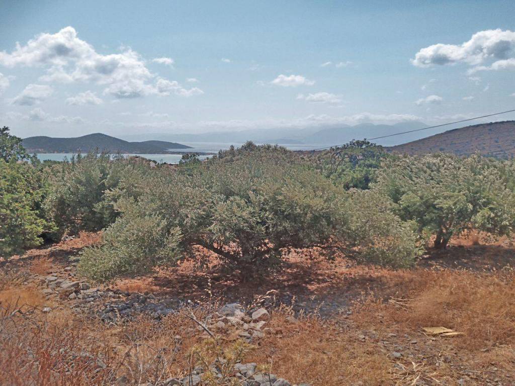 Land for sale in Elounda