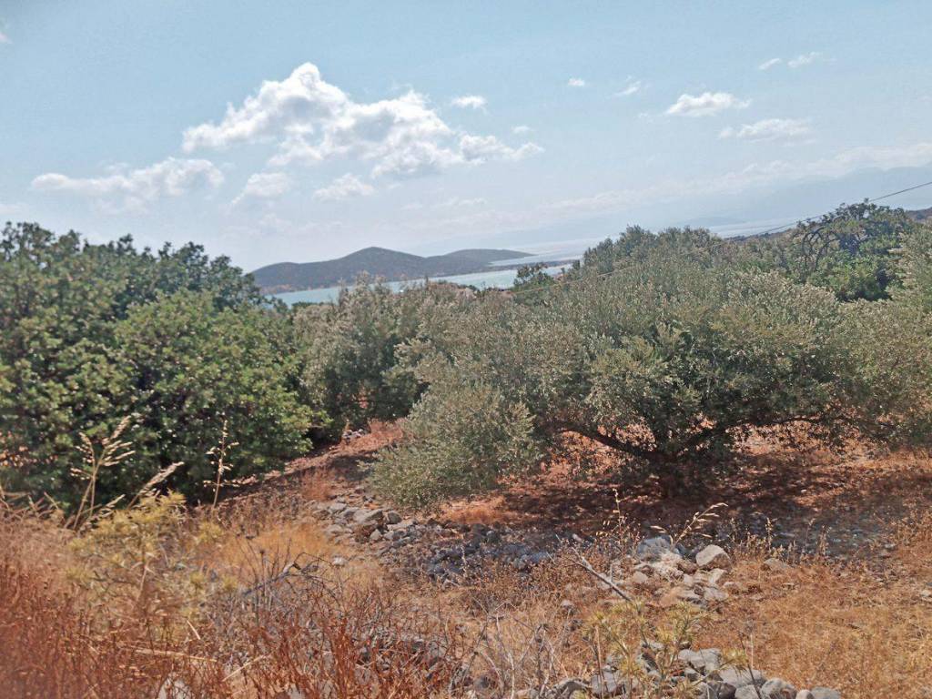 Land for sale in Elounda