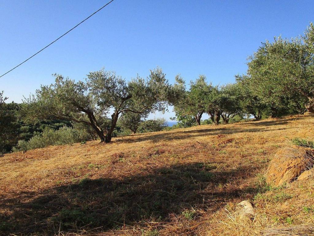 Seaview Plot for sale in Platanias Chania