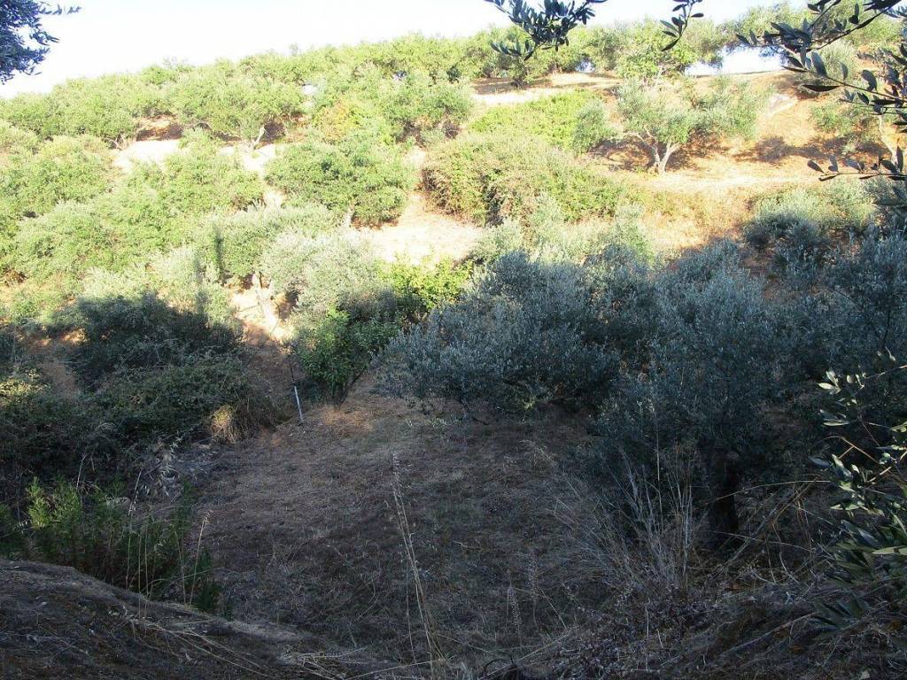 Seaview Plot for sale in Platanias Chania