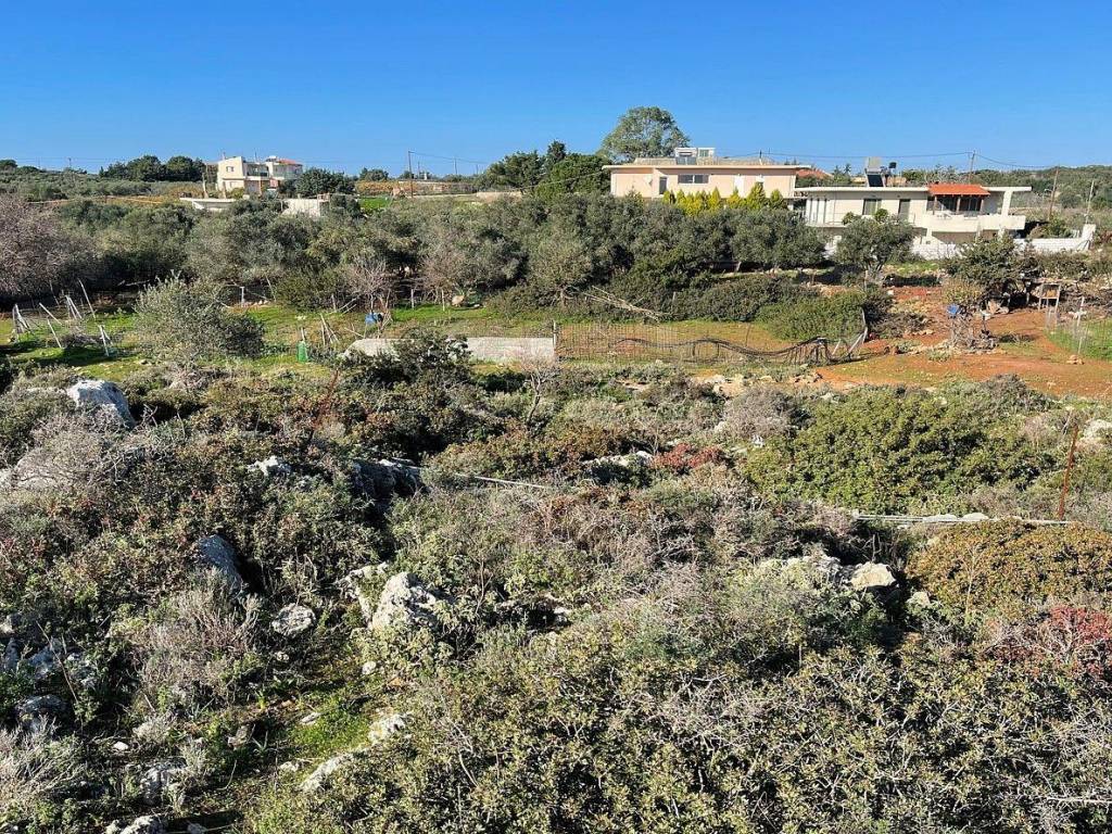 Ktimatoemporiki Land for sale in Monte Vardia Chania