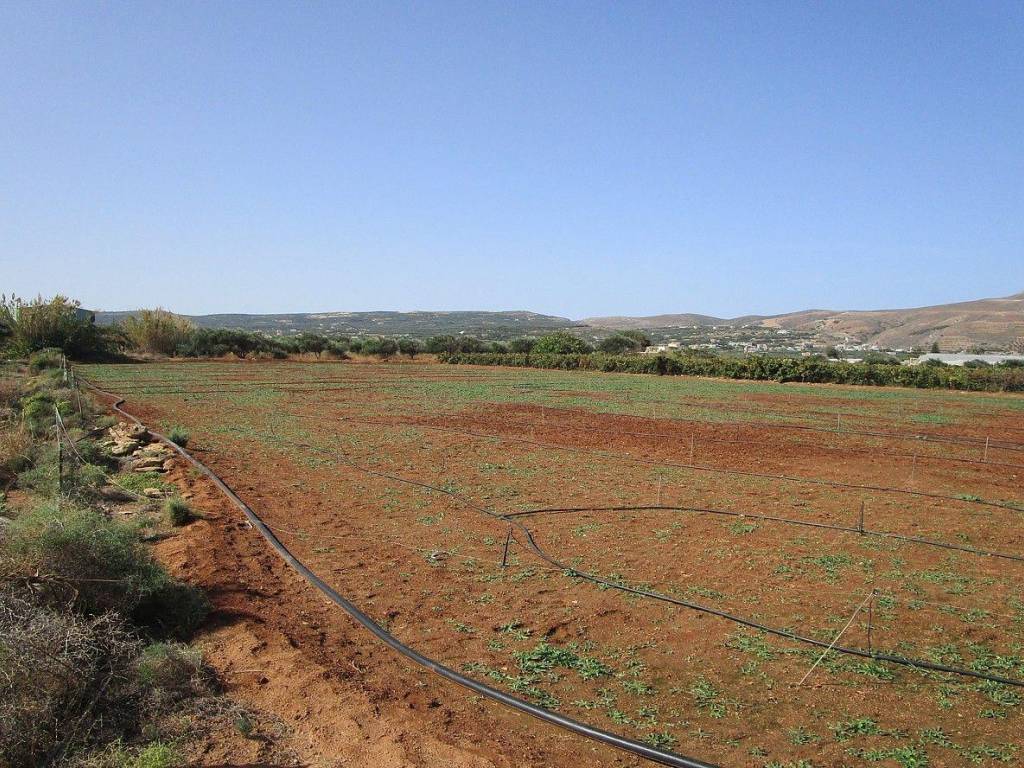 Ktimatoemporiki Land for sale in Kissamos Chania