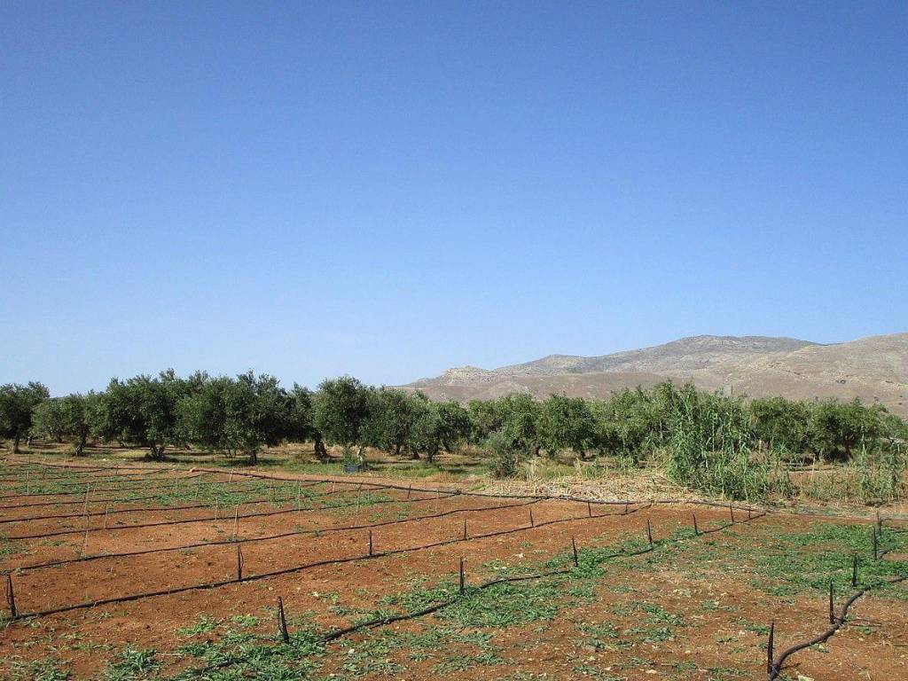 Ktimatoemporiki Land for sale in Kissamos Chania