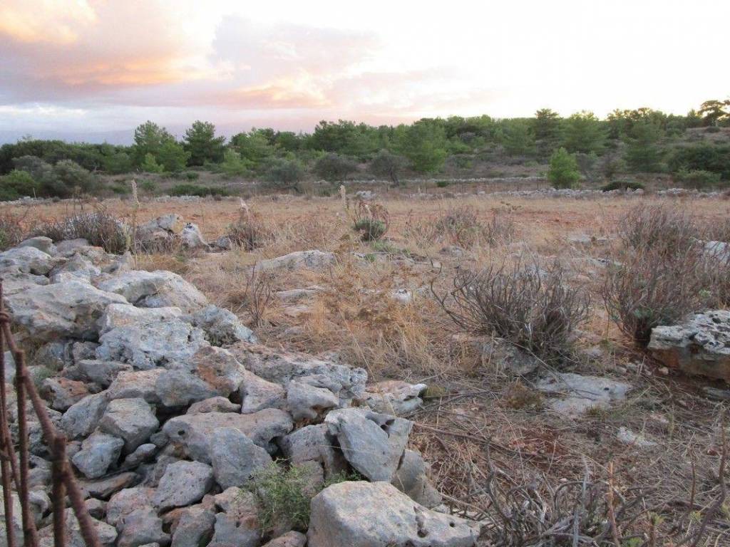 Ktimatoemporiki Land for sale in Sternes Akrotiri Chania