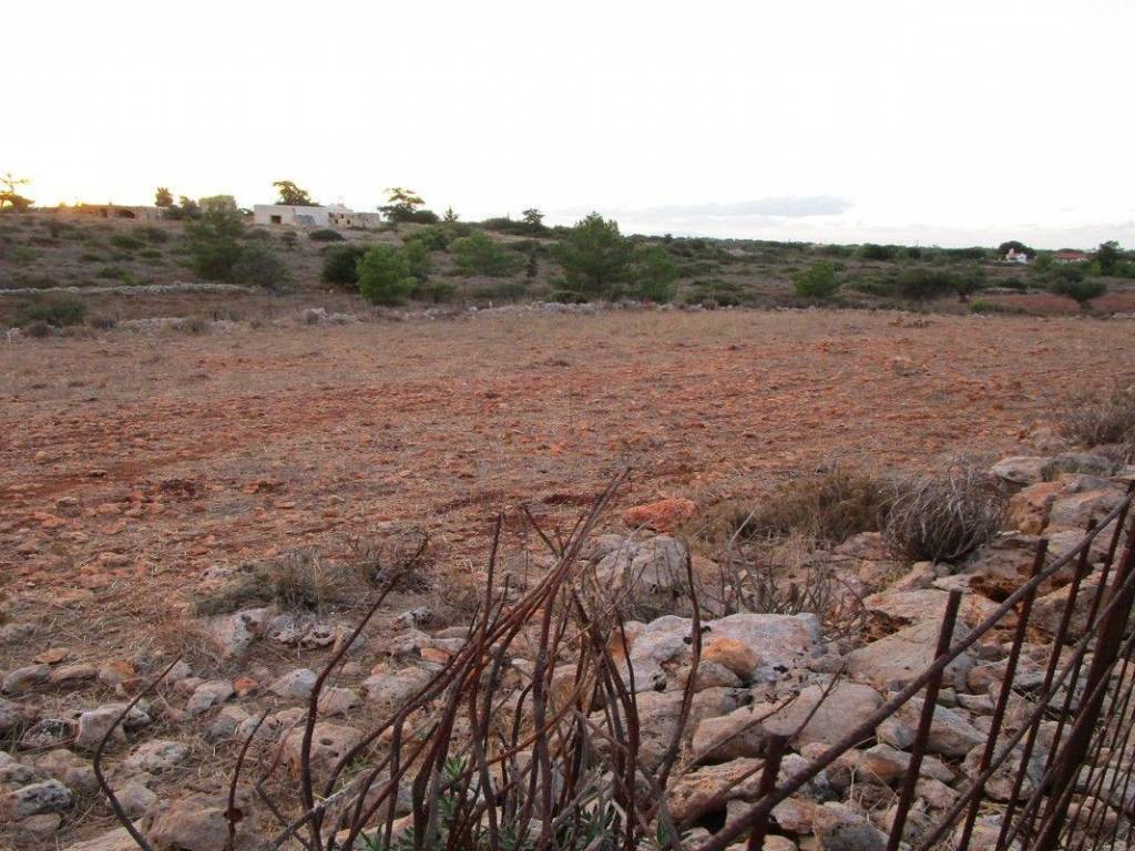 Ktimatoemporiki Land for sale in Sternes Akrotiri Chania