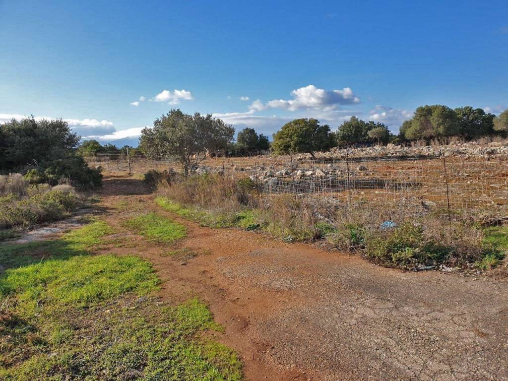 Land for sale in Akrotiri Chania
