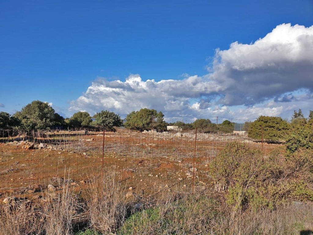 Land for sale in Akrotiri Chania