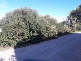Land for sale in Kalathas Chania